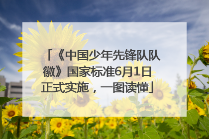 《中国少年先锋队队徽》国家标准6月1日正式实施，一图读懂