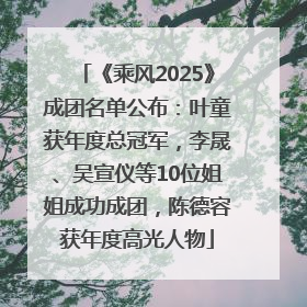 《乘风2025》成团名单公布：叶童获年度总冠军，李晟、吴宣仪等10位姐姐成功成团，陈德容获年度高光人物