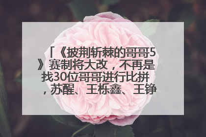 《披荆斩棘的哥哥5》赛制将大改，不再是找30位哥哥进行比拼，苏醒、王栎鑫、王铮亮、张远等多名男团选手被曝将参加