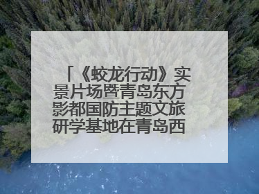 《蛟龙行动》实景片场暨青岛东方影都国防主题文旅研学基地在青岛西海岸新区开业