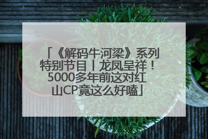 《解码牛河梁》系列特别节目丨龙凤呈祥！5000多年前这对红山CP竟这么好嗑