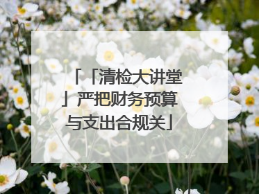 「清检大讲堂」严把财务预算与支出合规关