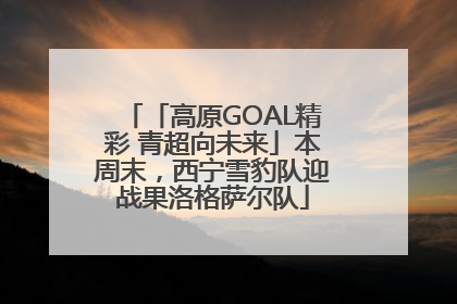 「高原GOAL精彩 青超向未来」本周末，西宁雪豹队迎战果洛格萨尔队