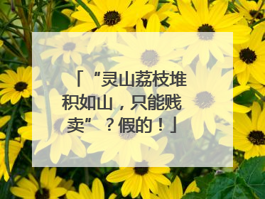 “灵山荔枝堆积如山，只能贱卖”？假的！