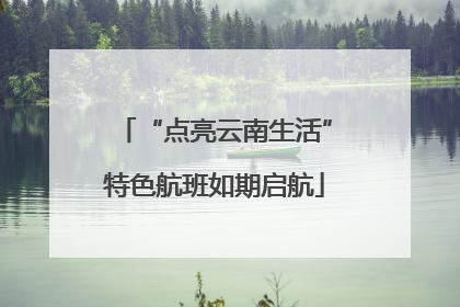 “点亮云南生活”特色航班如期启航