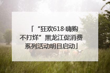 “狂欢618·嗨购不打烊”黑龙江促消费系列活动明日启动