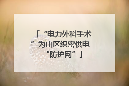 “电力外科手术”为山区织密供电“防护网”