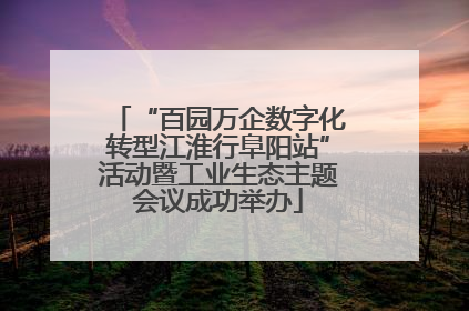 “百园万企数字化转型江淮行阜阳站”活动暨工业生态主题会议成功举办