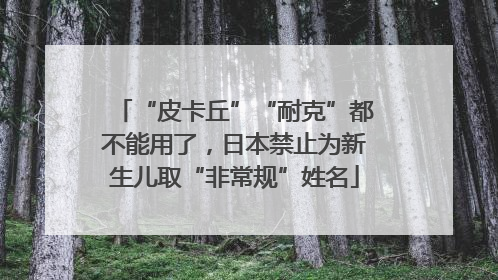 “皮卡丘”“耐克”都不能用了，日本禁止为新生儿取“非常规”姓名