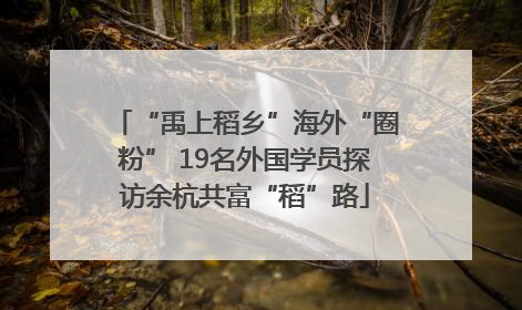 “禹上稻乡”海外“圈粉” 19名外国学员探访余杭共富“稻”路