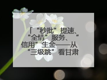 “秒批”提速、“全情”服务、“信用”生金——从“三级跳”看甘肃玉门市优化营商环境的进阶之路