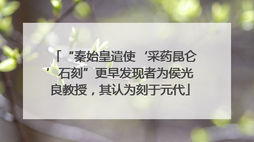 “秦始皇遣使‘采药昆仑’石刻”更早发现者为侯光良教授，其认为刻于元代
