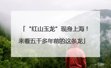 “红山玉龙”现身上海！来看五千多年前的这条龙