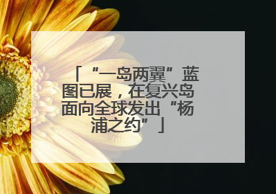 “一岛两翼”蓝图已展，在复兴岛面向全球发出“杨浦之约”