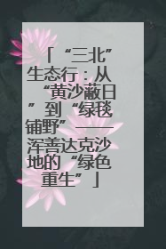 “三北”生态行：从“黄沙蔽日”到“绿毯铺野”——浑善达克沙地的“绿色重生”
