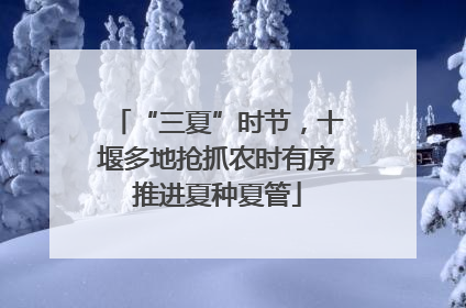 “三夏”时节，十堰多地抢抓农时有序推进夏种夏管