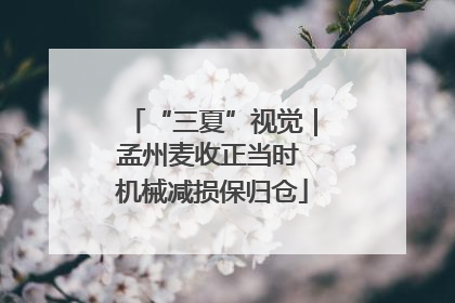“三夏”视觉｜孟州麦收正当时 机械减损保归仓