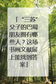 “三苏”父子的巴蜀朋友圈有哪些人？这场书画文献展上能找到答案