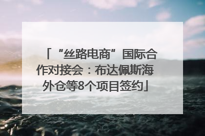 “丝路电商”国际合作对接会：布达佩斯海外仓等8个项目签约