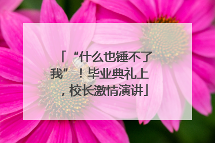 “什么也锤不了我”！毕业典礼上，校长激情演讲