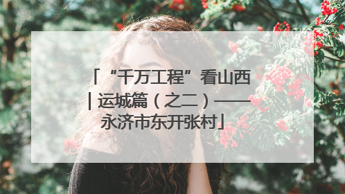 “千万工程”看山西｜运城篇（之二）——永济市东开张村