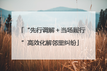 “先行调解＋当场履行”高效化解邻里纠纷