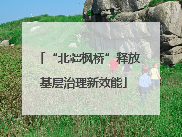 “北疆枫桥”释放基层治理新效能