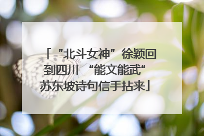 “北斗女神”徐颖回到四川 “能文能武”苏东坡诗句信手拈来
