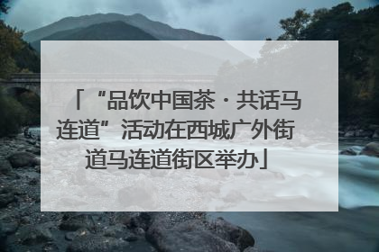 “品饮中国茶・共话马连道”活动在西城广外街道马连道街区举办