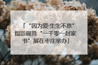“因为爱·生生不息”摄影展暨“一千零一封家书”展在枣庄举办