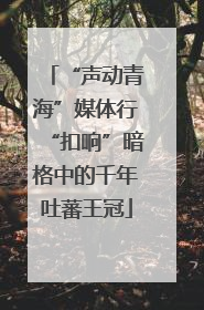 “声动青海”媒体行“扣响”暗格中的千年吐蕃王冠