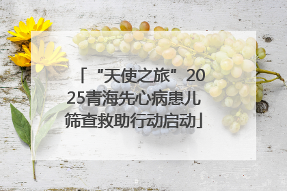 “天使之旅”2025青海先心病患儿筛查救助行动启动