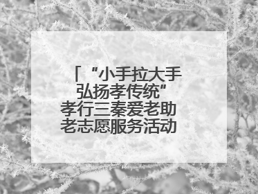 “小手拉大手 弘扬孝传统”孝行三秦爱老助老志愿服务活动启动仪式举行