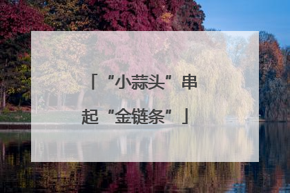 “小蒜头”串起“金链条”