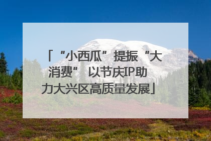 “小西瓜”提振“大消费” 以节庆IP助力大兴区高质量发展
