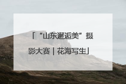 “山东邂逅美”摄影大赛｜花海写生