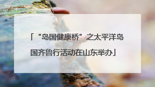 “岛国健康桥”之太平洋岛国齐鲁行活动在山东举办