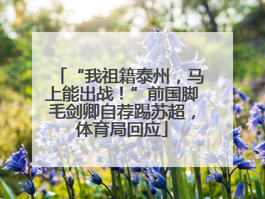 “我祖籍泰州，马上能出战！”前国脚毛剑卿自荐踢苏超，体育局回应