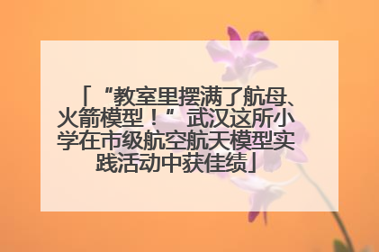 “教室里摆满了航母、火箭模型！”武汉这所小学在市级航空航天模型实践活动中获佳绩