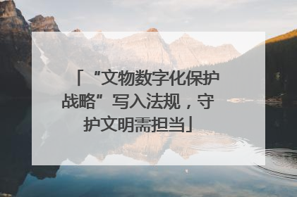 “文物数字化保护战略”写入法规，守护文明需担当