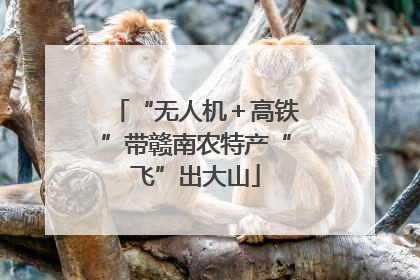“无人机＋高铁”带赣南农特产“飞”出大山