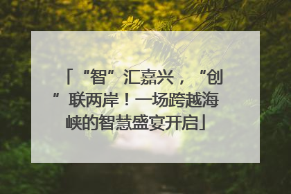 “智”汇嘉兴，“创”联两岸！一场跨越海峡的智慧盛宴开启