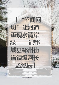 “望闻问切”让河道重现水清岸绿——记郓城县郓州街道镇级河长孟泓辰