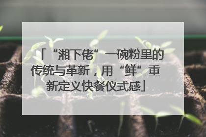 “湘下佬”一碗粉里的传统与革新，用“鲜”重新定义快餐仪式感