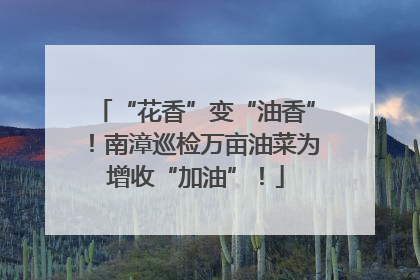 “花香”变“油香”！南漳巡检万亩油菜为增收“加油”！