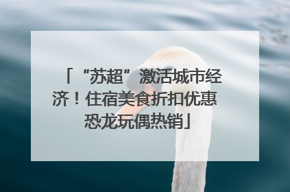 “苏超”激活城市经济！住宿美食折扣优惠 恐龙玩偶热销