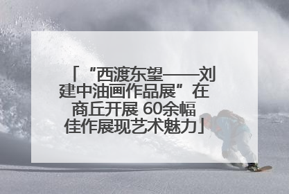 “西渡东望——刘建中油画作品展”在商丘开展 60余幅佳作展现艺术魅力