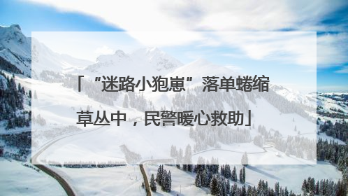 “迷路小狍崽”落单蜷缩草丛中，民警暖心救助