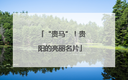 “贵马”！贵阳的亮丽名片