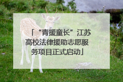 “青援童长”江苏高校法律援助志愿服务项目正式启动